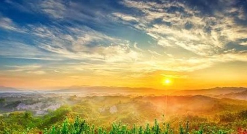 关于我们 - 大象传媒 - 从0到1的传媒品牌成长日志